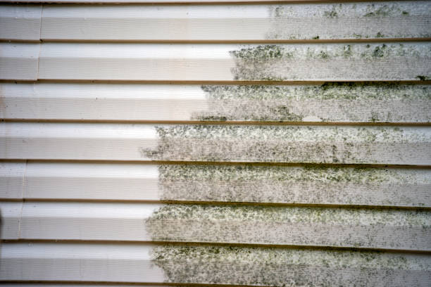 Historical Building Siding Restoration in Sudley, VA