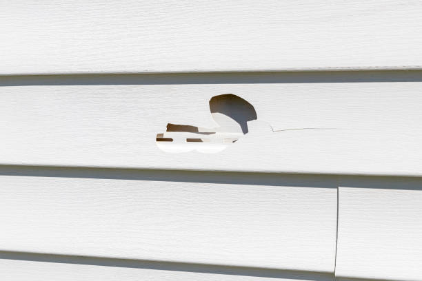 Best Siding Painting and Refinishing  in Sudley, VA